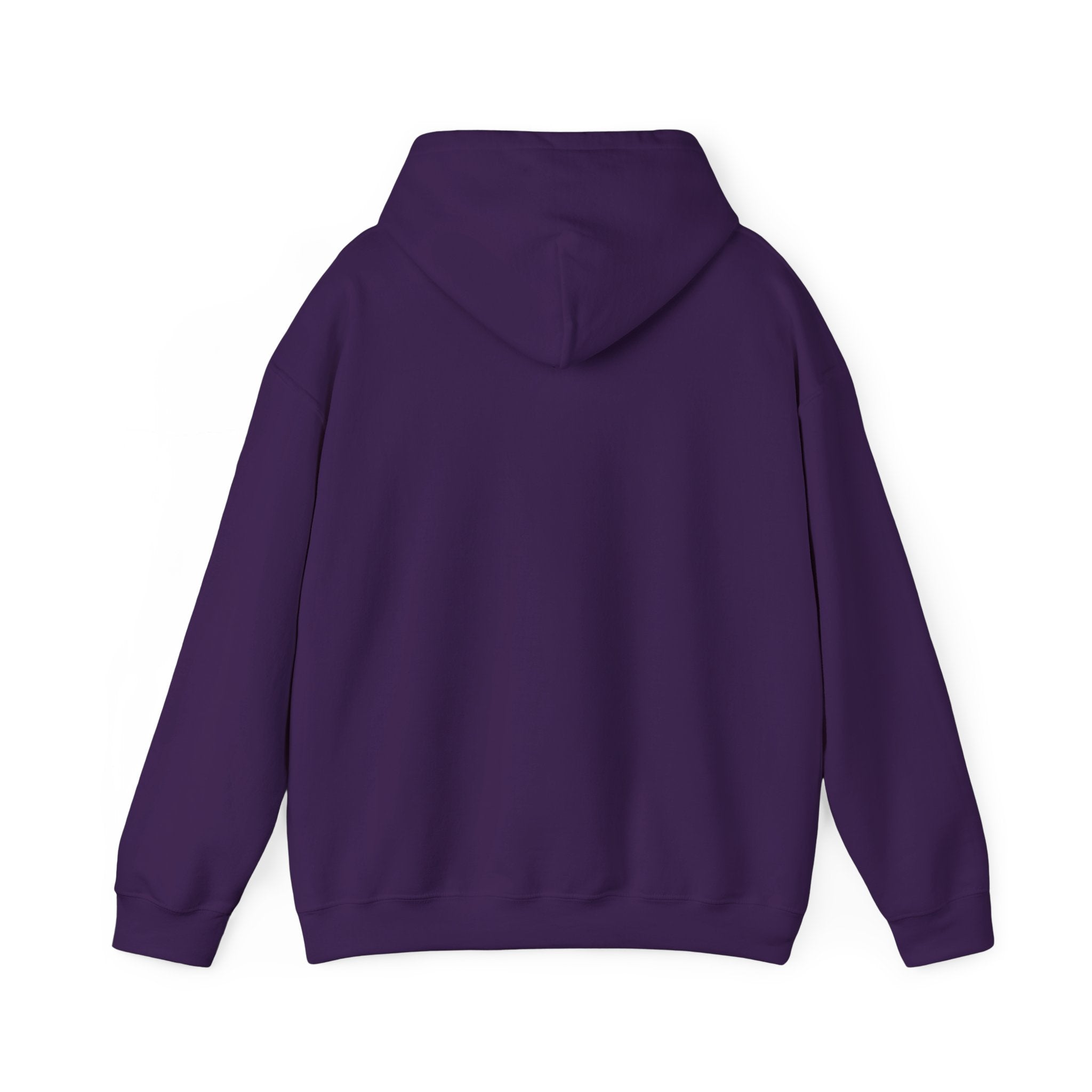 "I Am the Hero in This Story" Couples Hoodie —  Matching Valentine's Sweatshirt