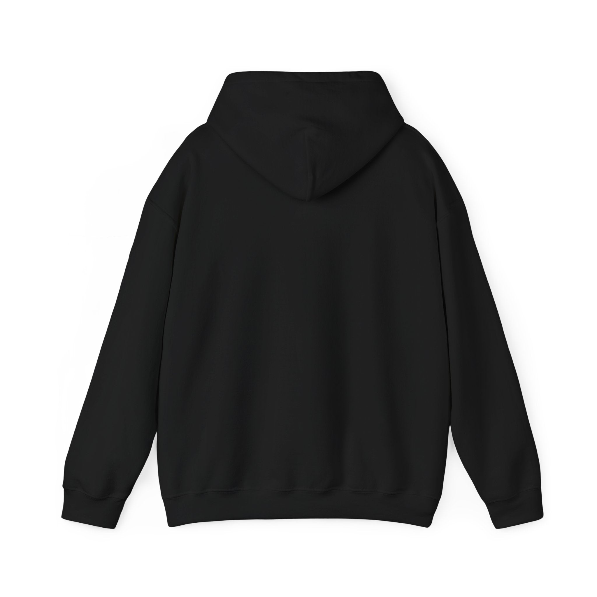 "I Am the Villain in This Story" Couple Hoodie — Matching Partner Sweatshirt
