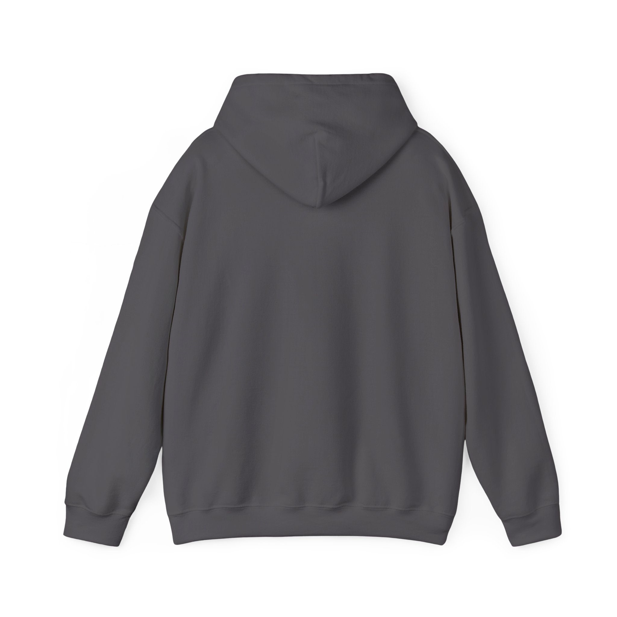"I Am the Villain in This Story" Couple Hoodie — Matching Partner Sweatshirt